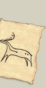 ponoka (elk)