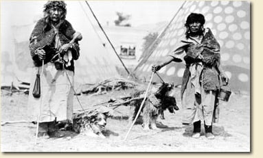 Dogs were also used to pull travois. Glenbow Archives NA-1463-1.