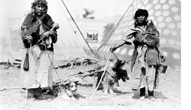 Les travois sont aussi traînés par des chiens. Archives du musée Glenbow NA-1463-1