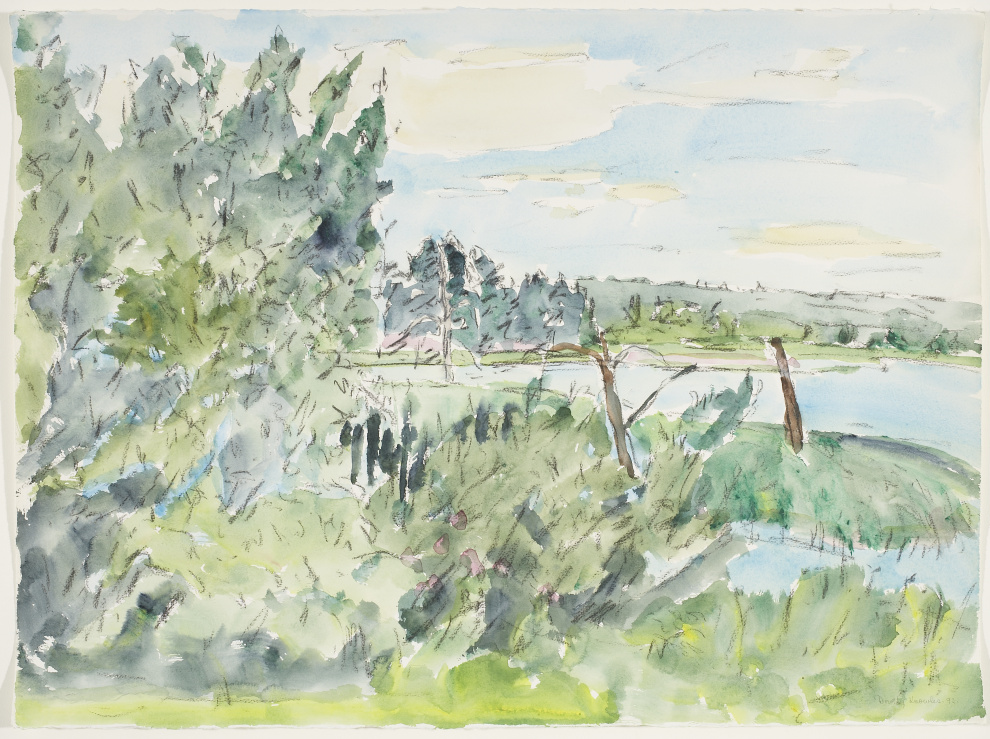 Dorothy Knowles, Drowned Trees, 1992, Collection of Glenbow, gift of the artist, 2007.