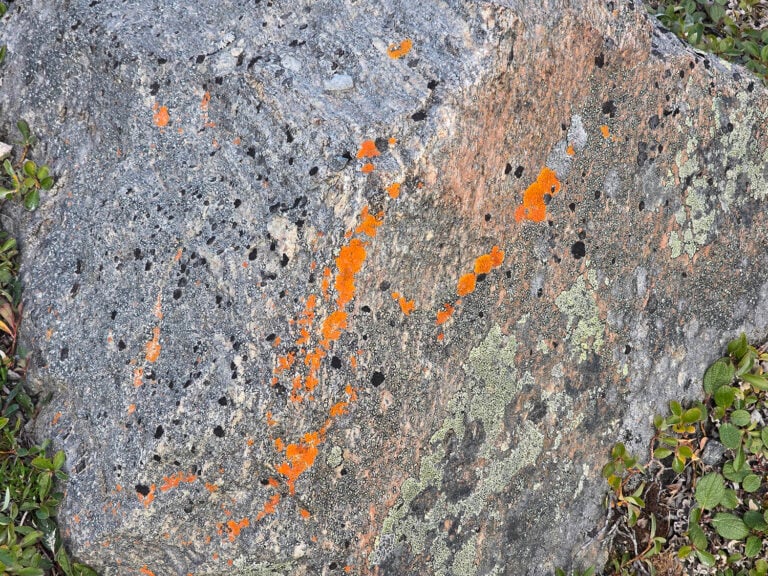 Rock face with warm coloured lichen growing on its face