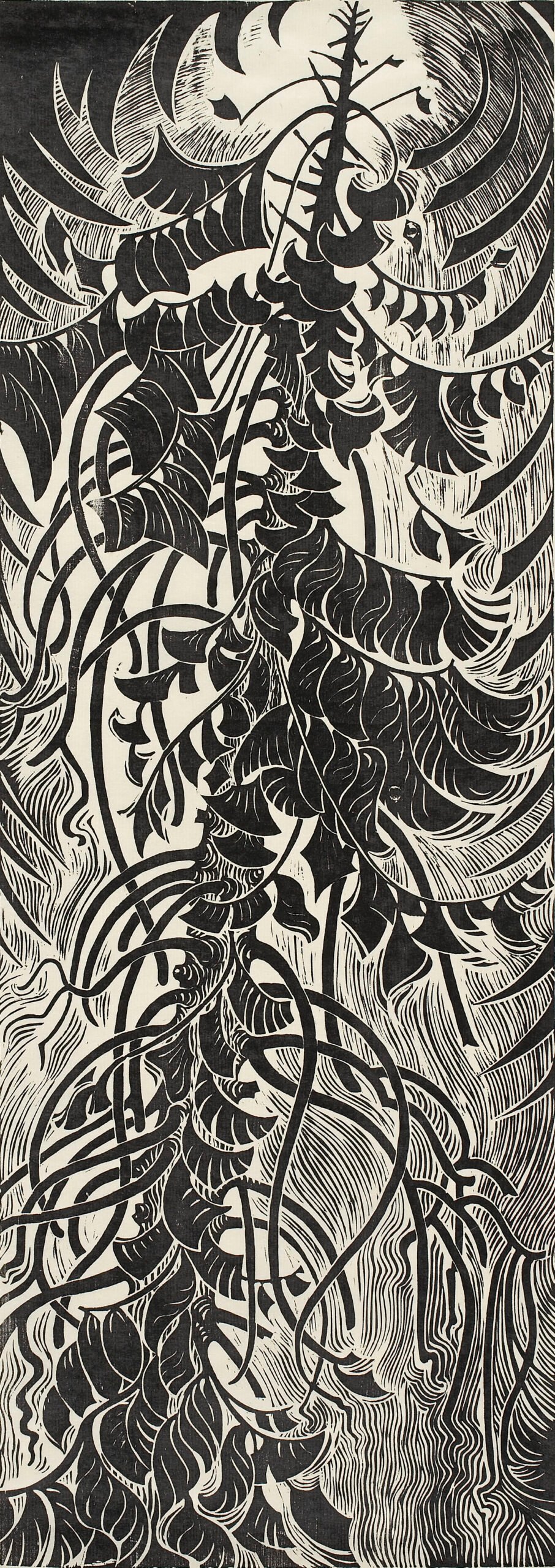 A dark cedar tree with scraggly branches stretches up toward a bright light